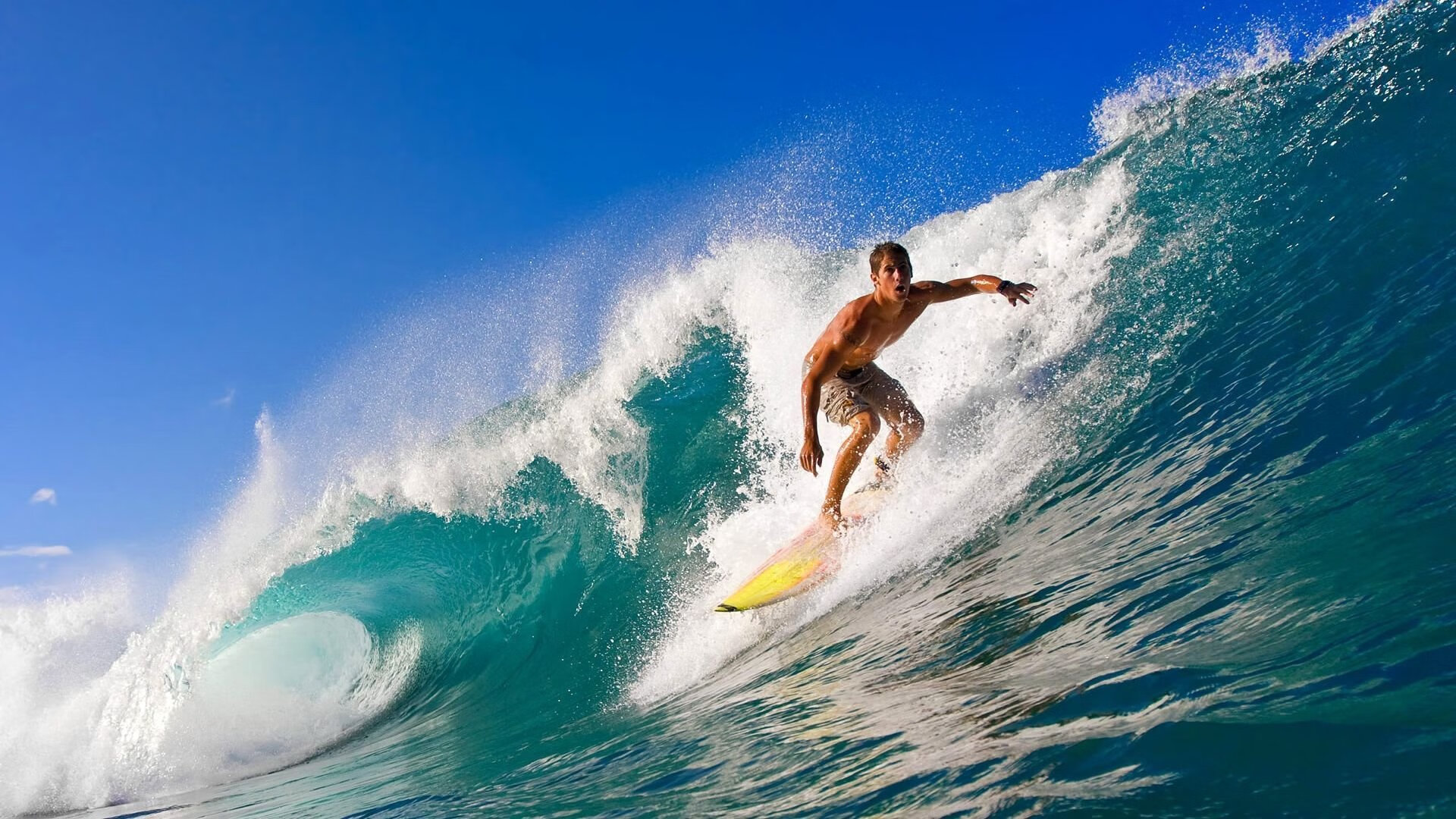 体育明星最新动态追踪