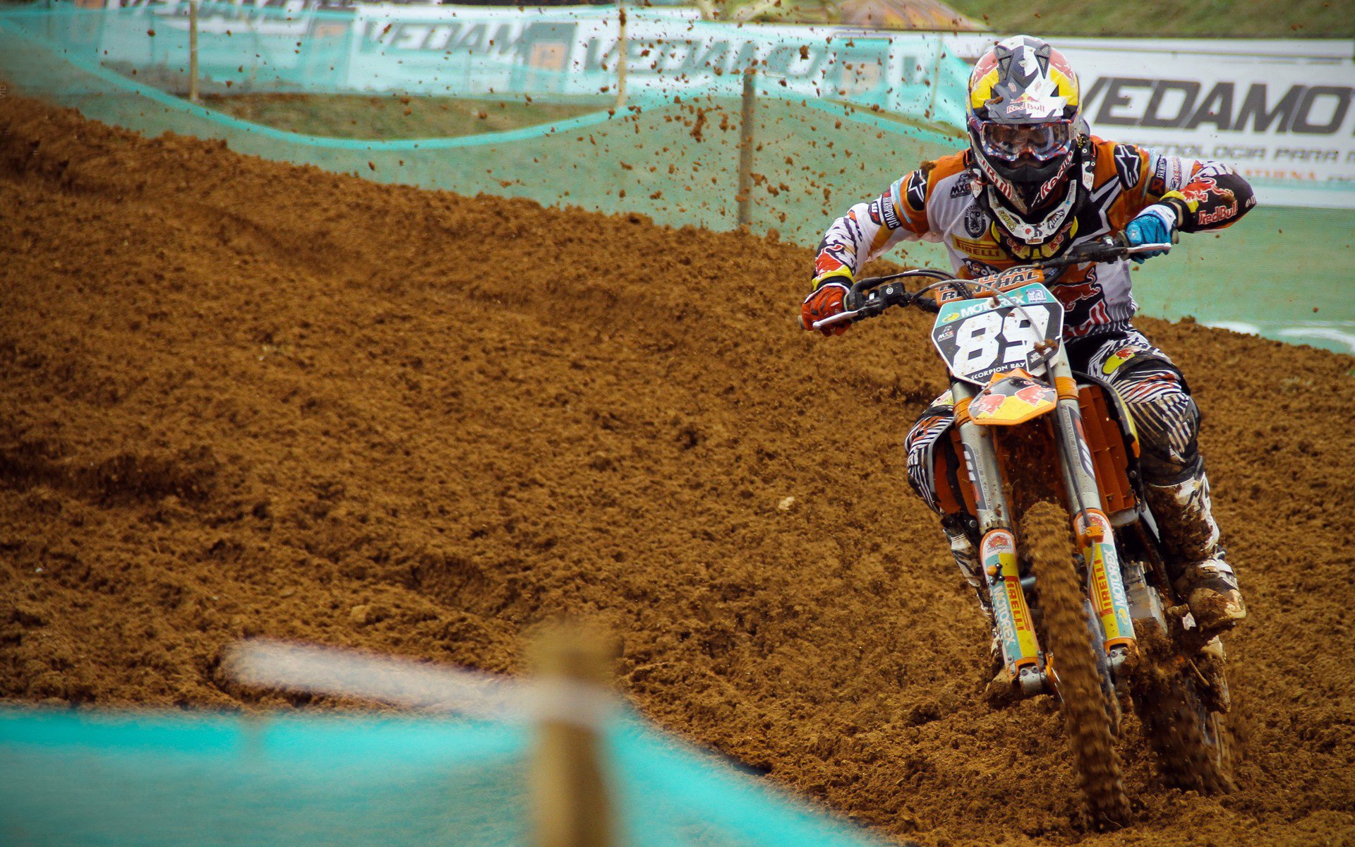 体育赛事票房收入增长